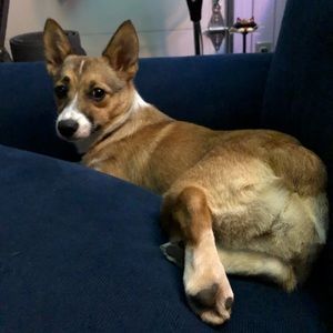 Meet your Posher, Matthew